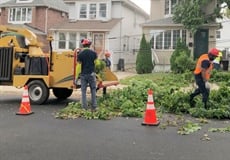 Landscape, Land & Road Maintenance